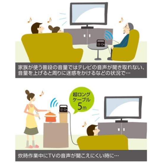 Sanwa Supply TV-Lautsprecher-Erweiterung (5m Kabel, Schwarz) MM-SPTVBK