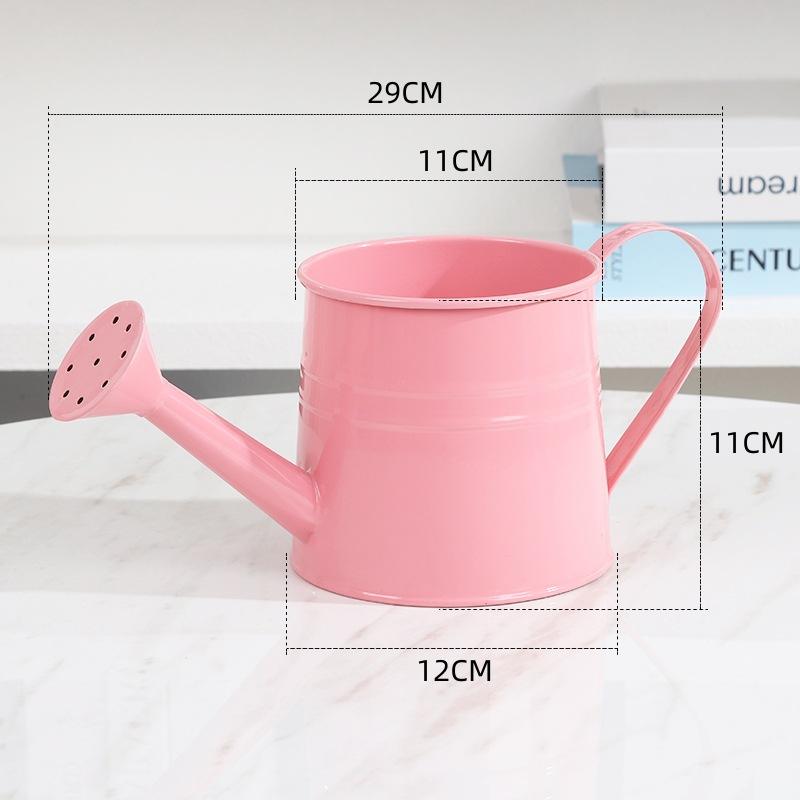 Metal Watering Can Garden Flower Kettle Mini Small Water Spraying Pot Sprinkle With Large Capacity For Kids Adult
