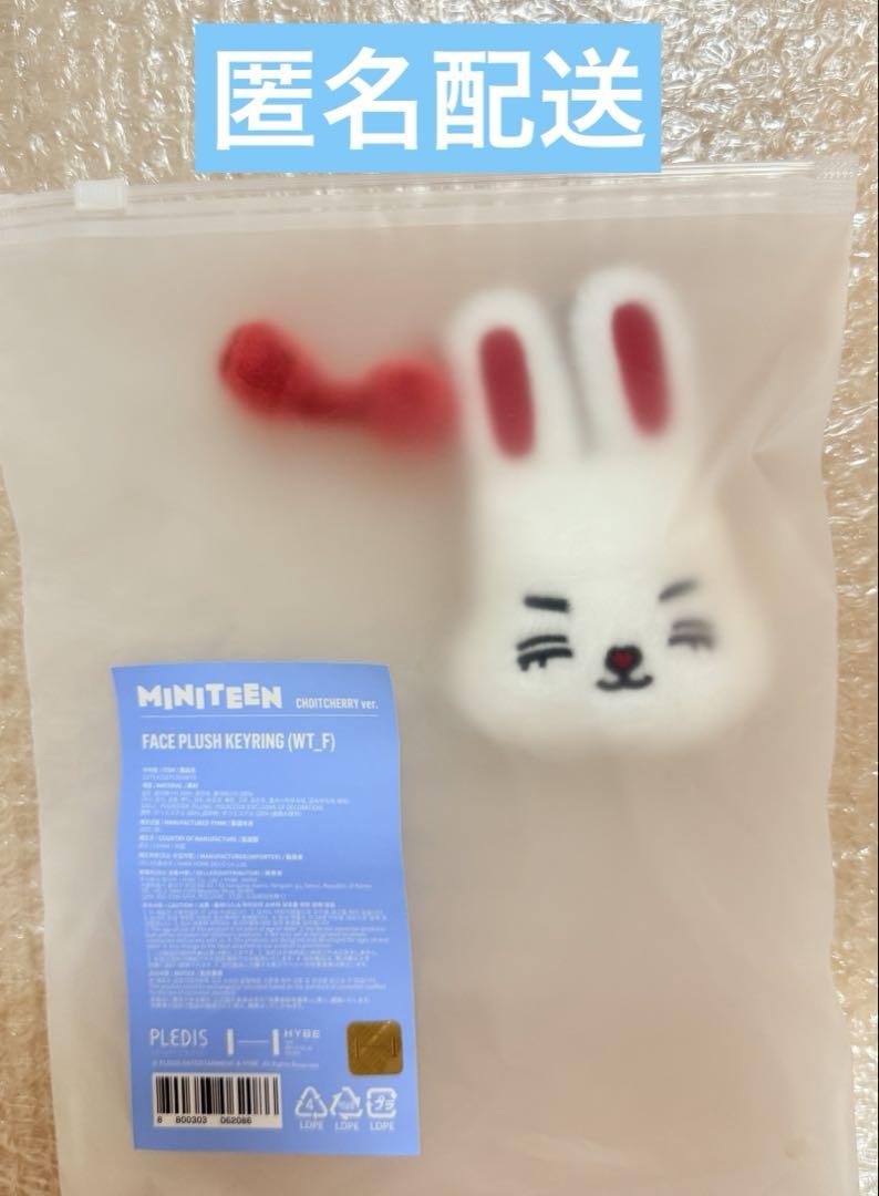 

[USED] SEVENTEEN MINITEEN Mascot Key Ring S.Coups