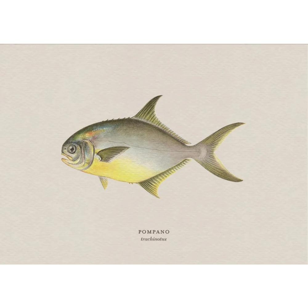 Vintage Bass Fish Trout Fly Fishing Posters Prints Canvas Painting Fisherman Retro Wall Art Picture for Living Room Home Decor