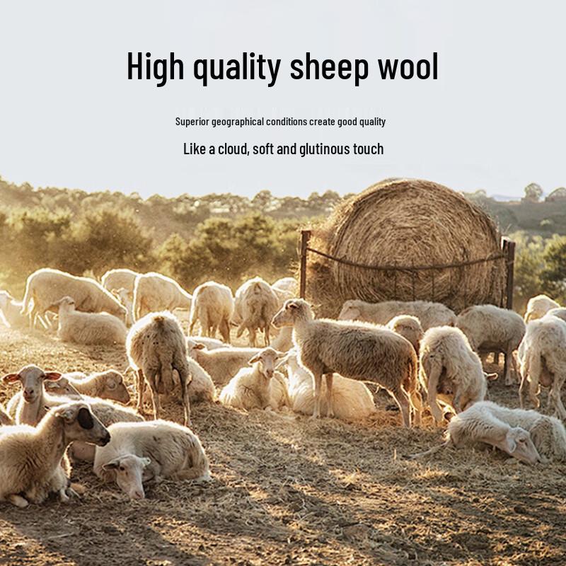 Caizi Men's Mid-length Plaid Wool Blend Overcoat