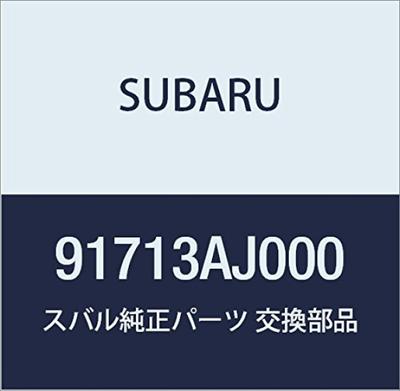 SUBARU Genuine Rear Garnish Part Number 91713AJ000 Protector,