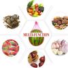 Plastic Gardening Net Watermelon Three-dimensional Planting and Hammock Bag Supplies Garden Stuff Tote Vegetable Agriculture