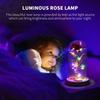 Artificial Rose Flower LED Enchanted Galaxy Rose With Lamp Eternal Rose Flower Color Luminous Ornament for Wedding Birthday Gift