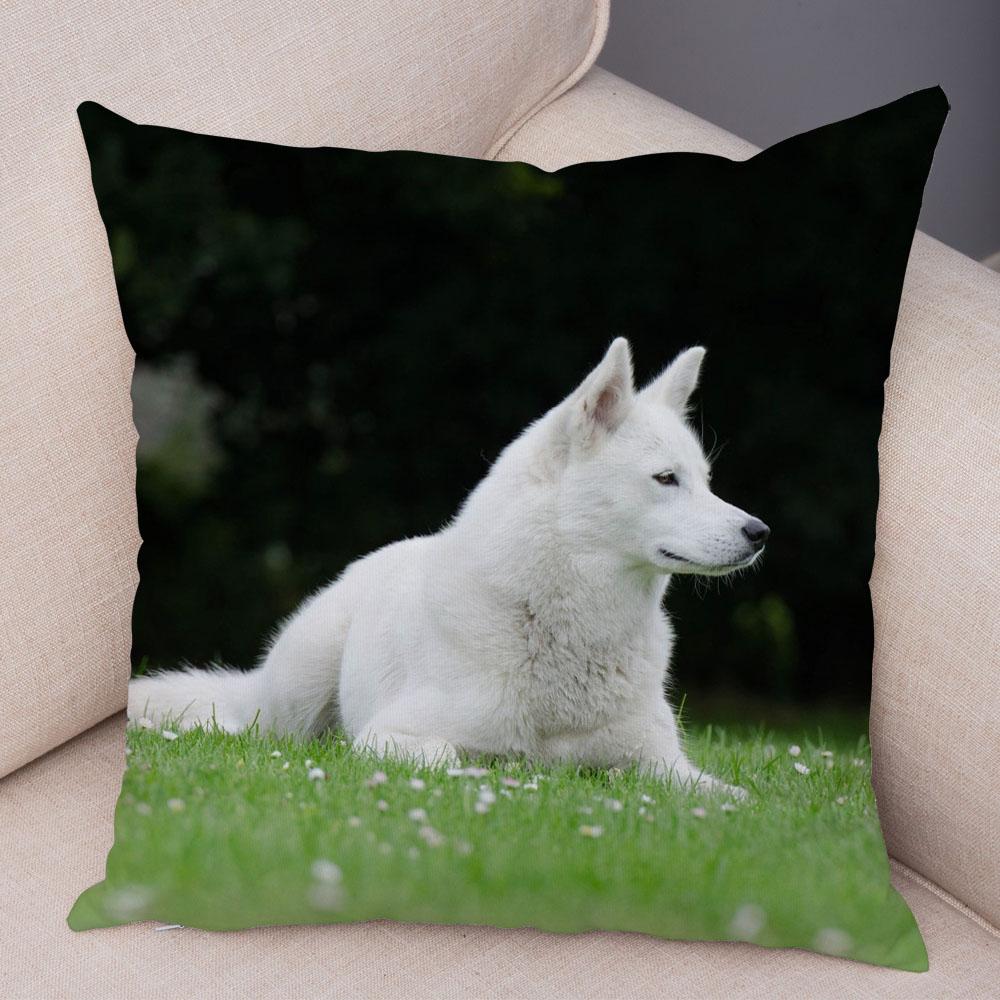 Decor Cute Siberian Husky Pillowcase Pet Dog Printed Super Soft Short Plush Pillow Case 45*45cm Animal Cushion Cover for Sofa