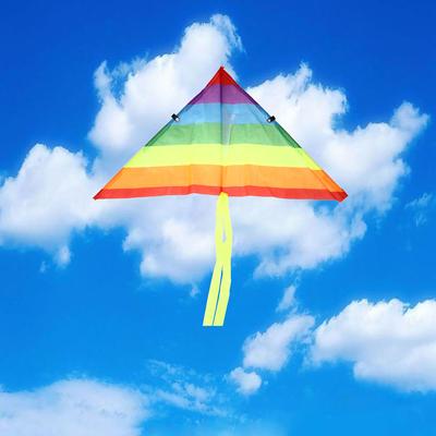 עפיפון קשת בענן עם חוט עפיפון באורך 50 מטר עפיפוני ציפורים לילדים שק רוח צעצועי חוץ לילדים מתנה צעצוע בד לגינה
