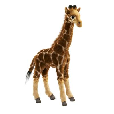 BH7810 HANSA Giraffe 50