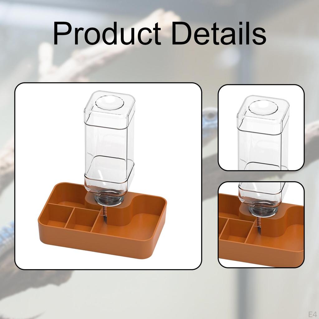 Distributeur d'eau automatique pour reptiles, abreuvoir, gamelle pour nourriture, pour gecko, caméléon