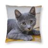 Russian Blue Cat Pillowcase Polyester Linen Velvet Printed Zip Decorative Pillow Case Sofa Seater Cushion Case Wholesale