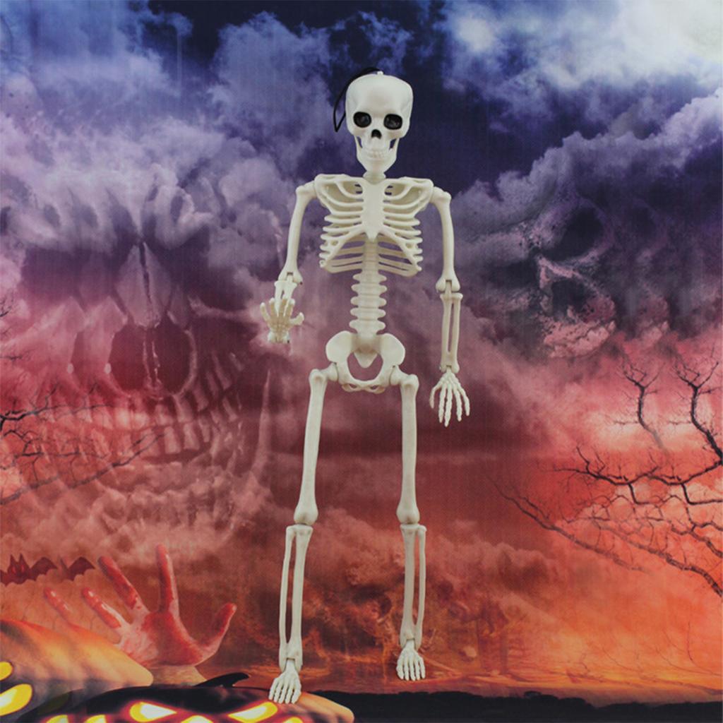 Halloween Life Size Skeleton Full Body 40cm Posable Halloween Skeleton Decor with Movable Joints for Haunted Houses Cemeteries