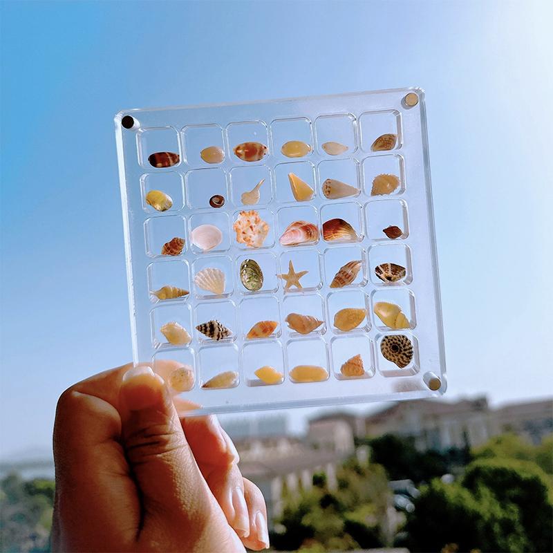 Acryl Display Box Schmuck Veranstalter 36/64/100 Grids Mini Seashell Lagerung Box