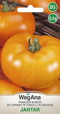 Tomate Jantar 0,5g graines de tomates -