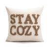 Christmas Plaid Pillow Cover, Holiday Throw Cushion for Sofa, Instagrammable Xmas Decor Pillow Case