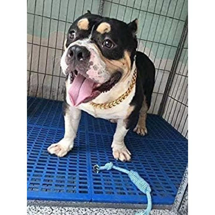 Chain Dog Collar 18K Gold Cuban Link Dog Chain Chain Collar Metal Stainless Steel Heavy Duty Slip Dog Collars for Small, Medium, and Large Dogs(15MM,