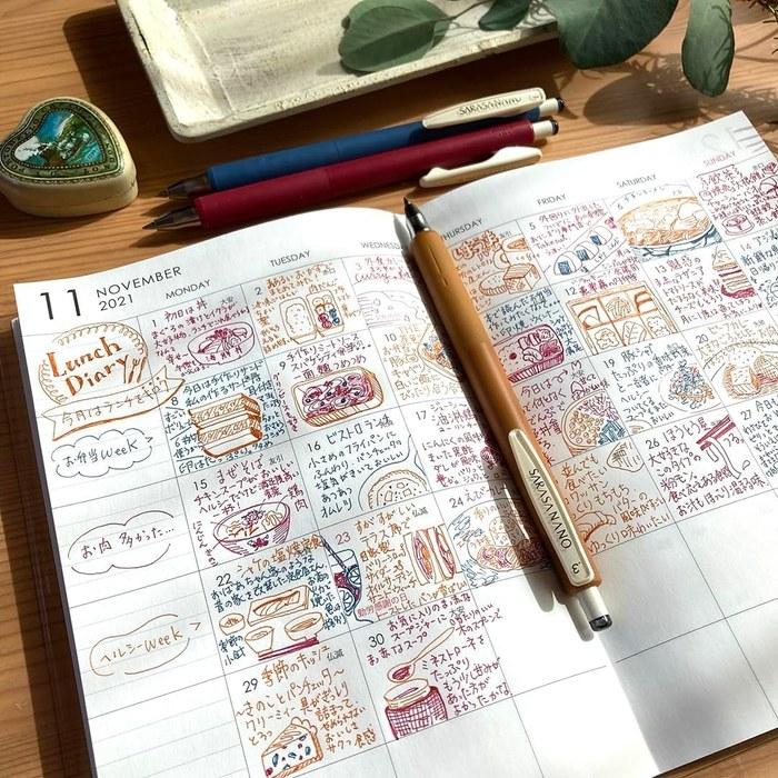 Zebra Sarasa Nano Gel Pen 0.3mm 10-Color Set P-JJH72-10C-AZ