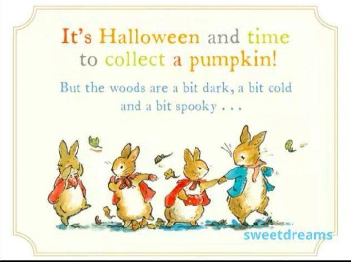 [USED] The Story of Peter Rabbit 7-book Set English Picture Book