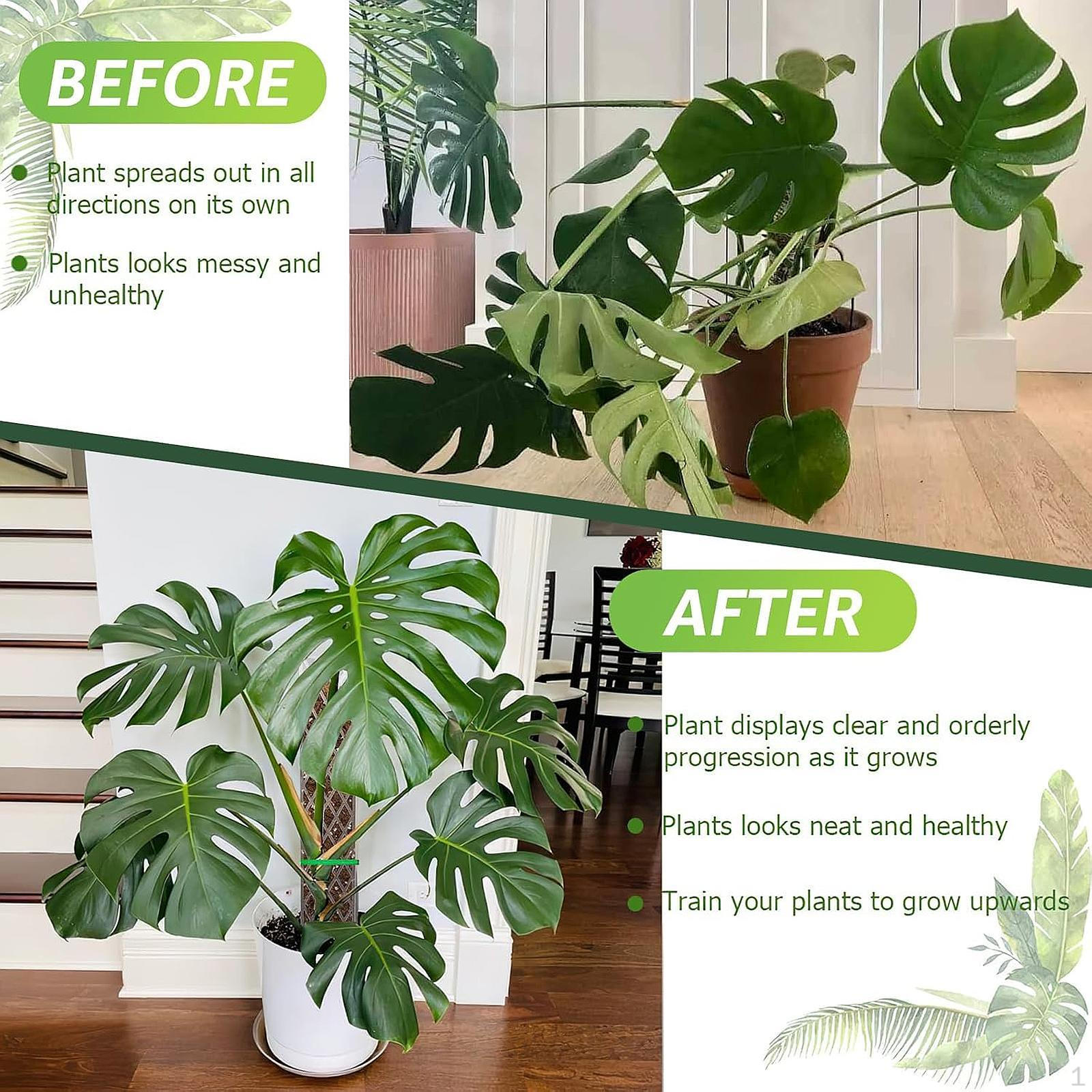 

Pole for Plants Mesh Gardening Supplies Easy Installation Creepers Extension Courtyard Stackable 4Pcs
