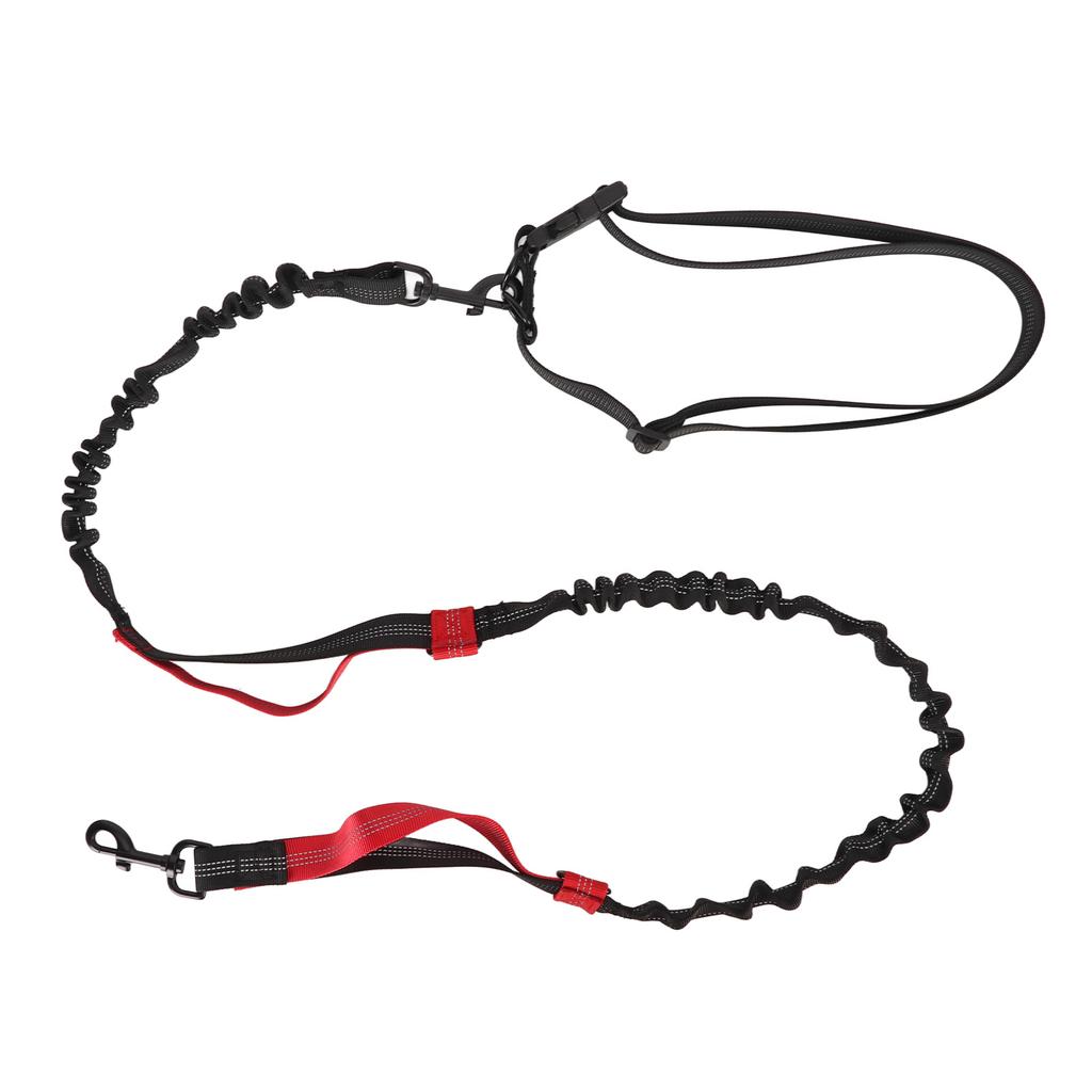 Strapazierfähige Bungee-Hundeleine Stoßdämpfendes Elastisches Hundeleinenseil mit 2 Gepolsterten Griffen für Große Hunde beim Spazierengehen und Training