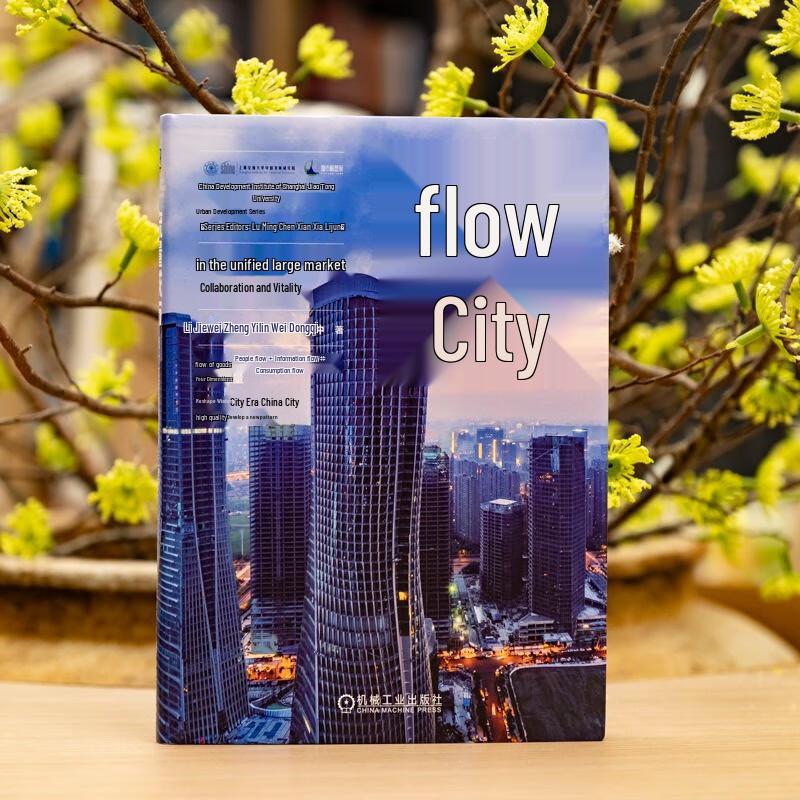 Flow City: Collaboration and Vitality