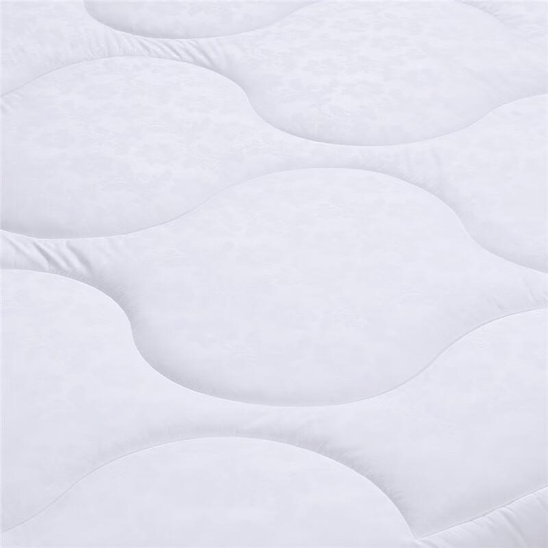 FUANNA All-Season Soft Warm Comforter