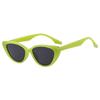 JYL TS Cat Eye Sunglasses UV Protection Fashion For Street Shooting NH1301