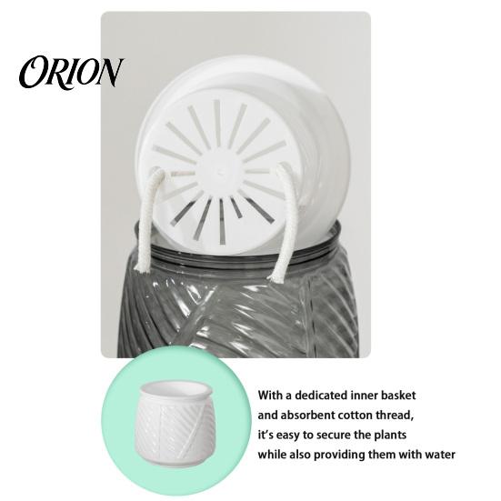 Deep Soil Planting Basin Self Watering Planter with Wick Rope for Indoor Plants, Double Layer Pot Home Transparent Hydroponic Planter, Decorative