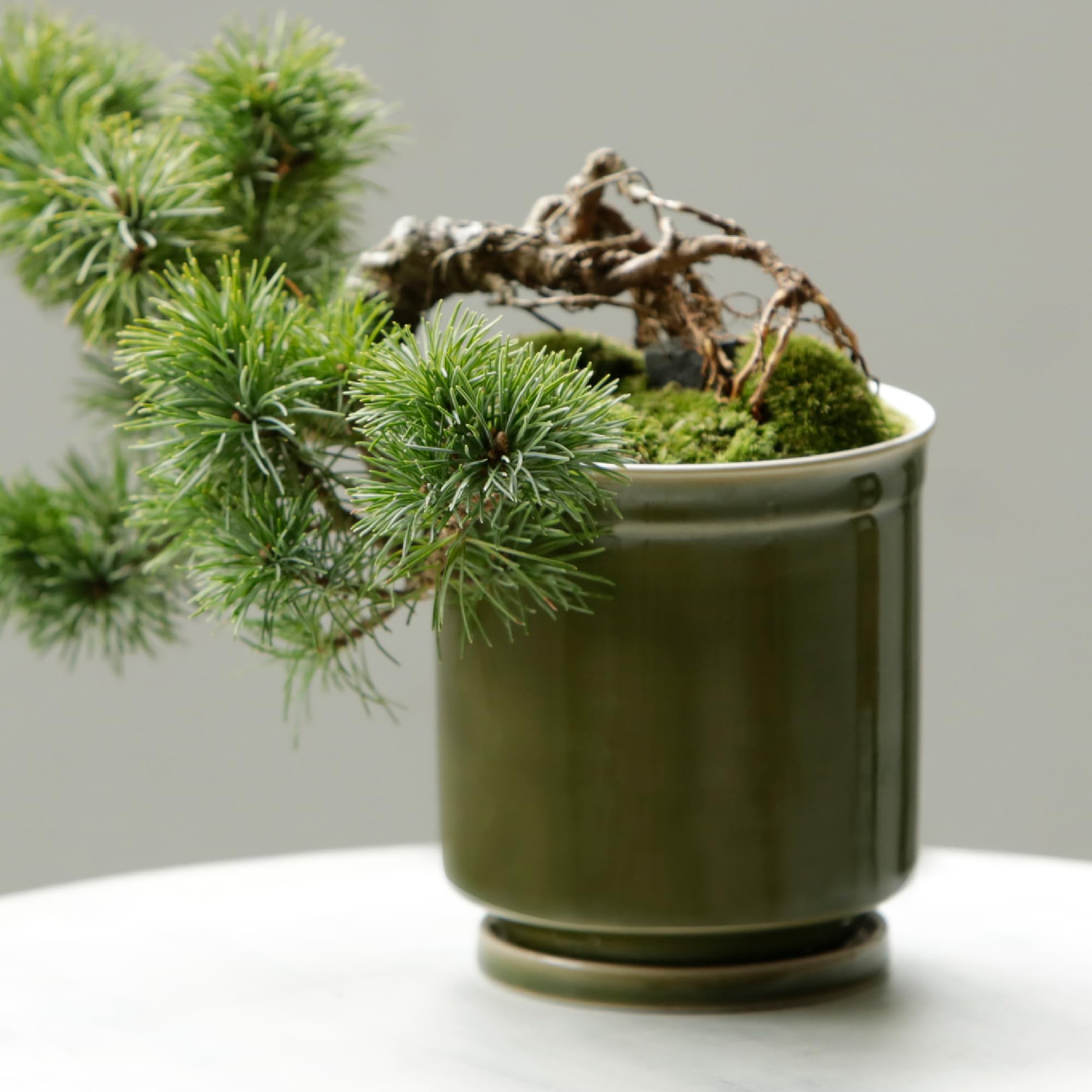 

Leaf88 Made in Japan Hasami Ware Flower Pot with Size Saucer, 10.5x11.5cm, 3.5 (Matcha)