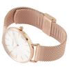 Coach PERRY Rose 14503126 Women's Watch, Gold, [Used]