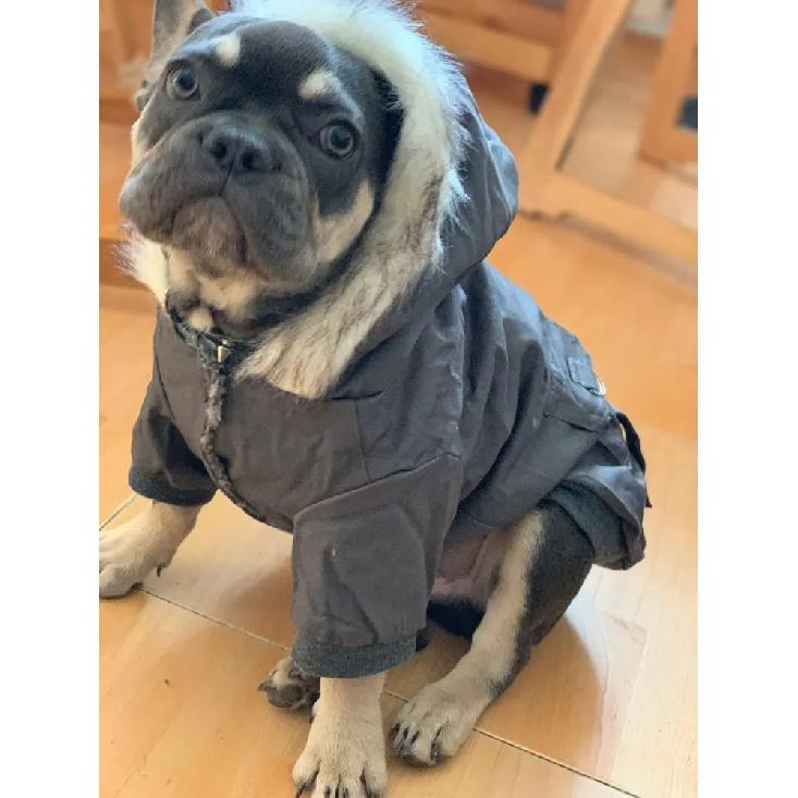 Pet Dog Clothes for Small Dogs Winter Warm Puppy Cat Coats Jackets Chihuahua French Bulldog Jacket Pets Clothing Products XXL