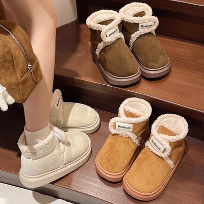 Fur Integrated Platform Snow Boots Women's Winter 2025 New Internet Celebrity Piled Thickened Bread Northeast Large Cotton Shoes