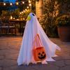 Halloween Party Decor Goose Outfit, Ghost Porch Clothes with Pumpkin Bag for 23" Durable Decoration Statue, Accessory Outdoor Patio Lawn Yard Spooky