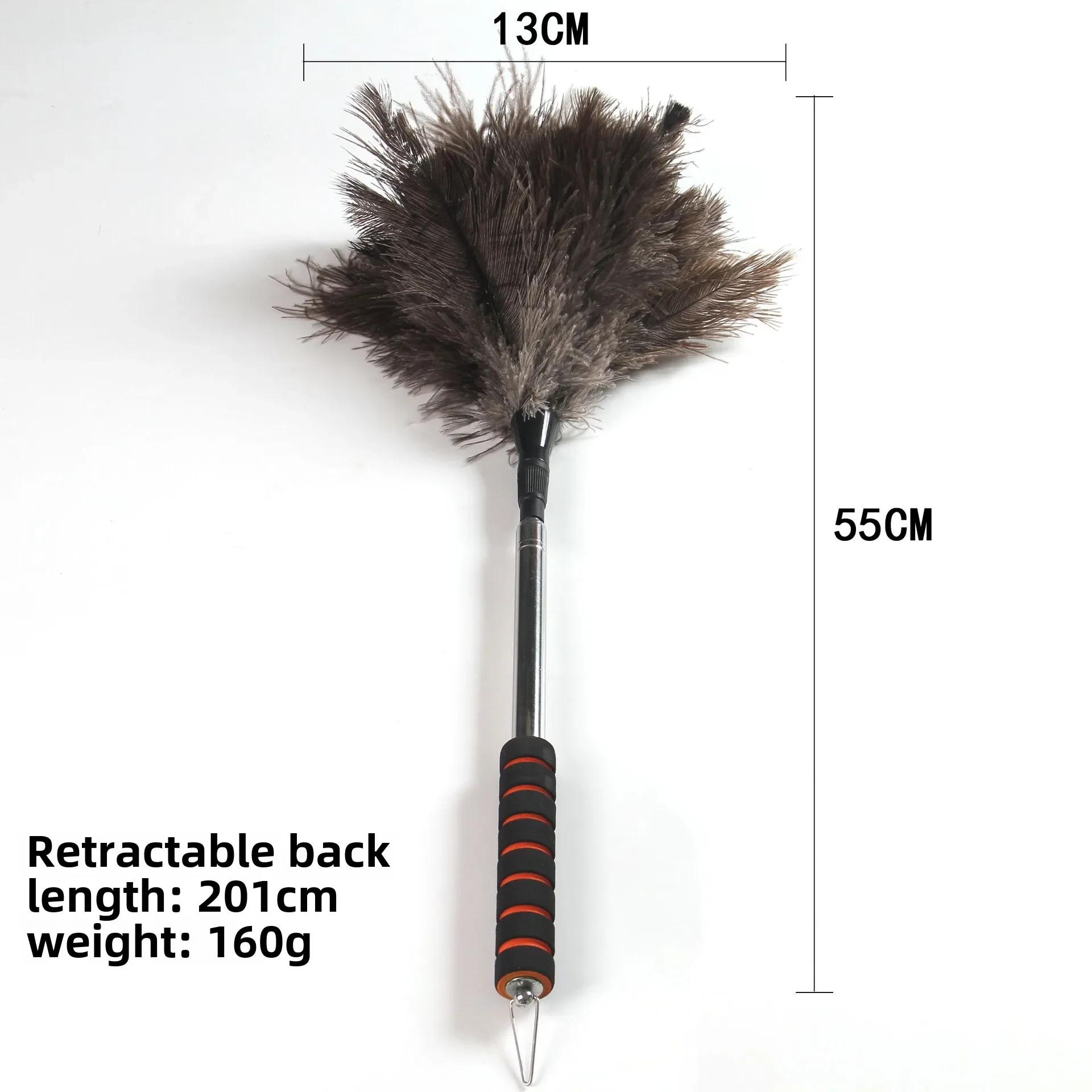 

Раздвигающаяся метелка из страусиных перьев 2 м: Бытовой инструмент для удаления пыли и подметания