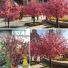 High Quality Short/Long Red Plum Blossom Branch Multistyles Artificial Flowers Home Party Decoration Home Decoration