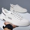 Men's Casual Shoes Trendy Spring and Autumn Design with Comfortable Sole