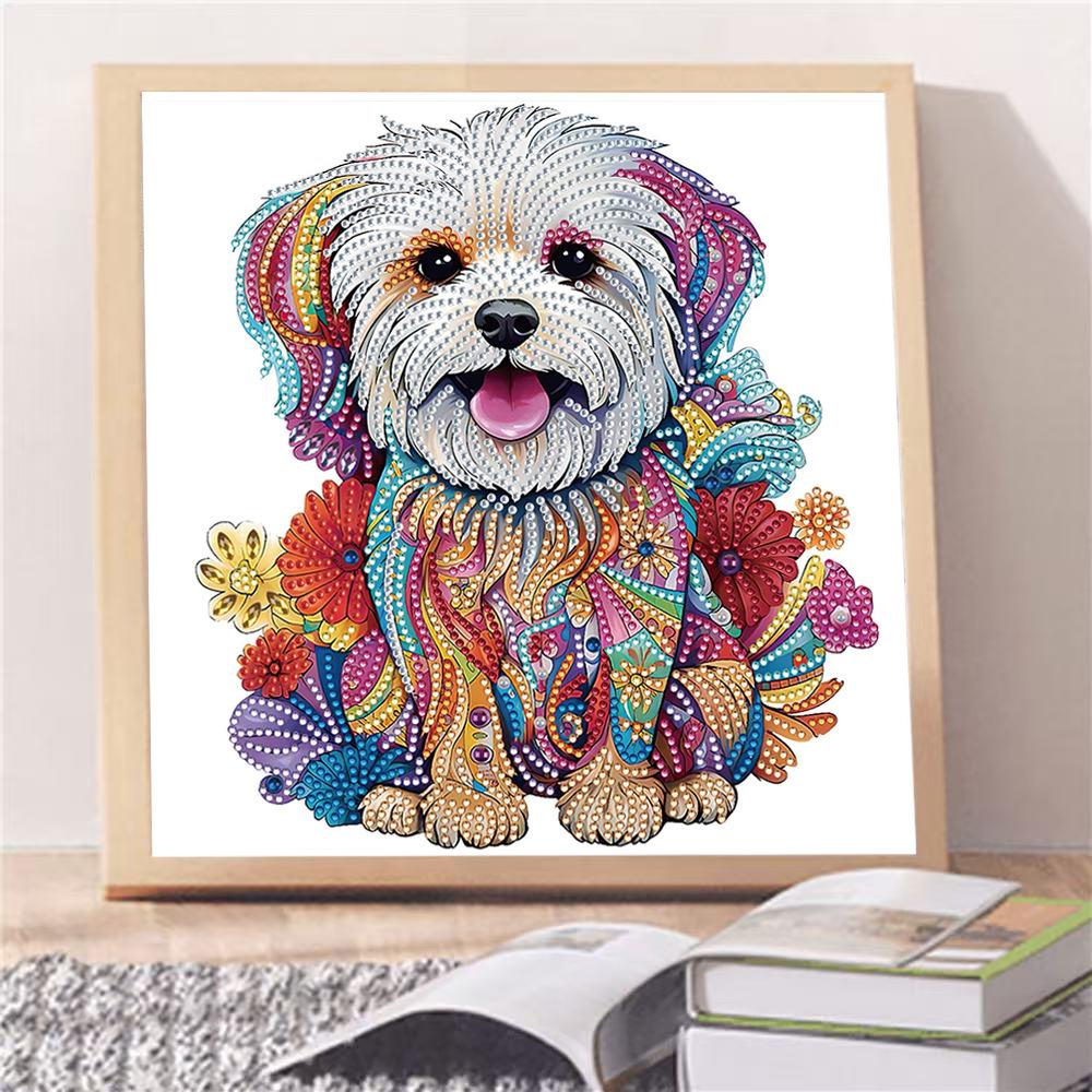 Diamond Painting, Special-Shaped Diamond Painting, Handmade Sticker Material Package 30 * 30 Diamond Sticker Diy Decorative Painting Cross-Border