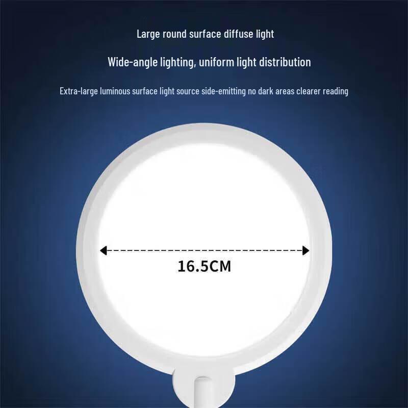 Newman Multi-functional Voice-Controlled Eye-Protection Floor Lamp