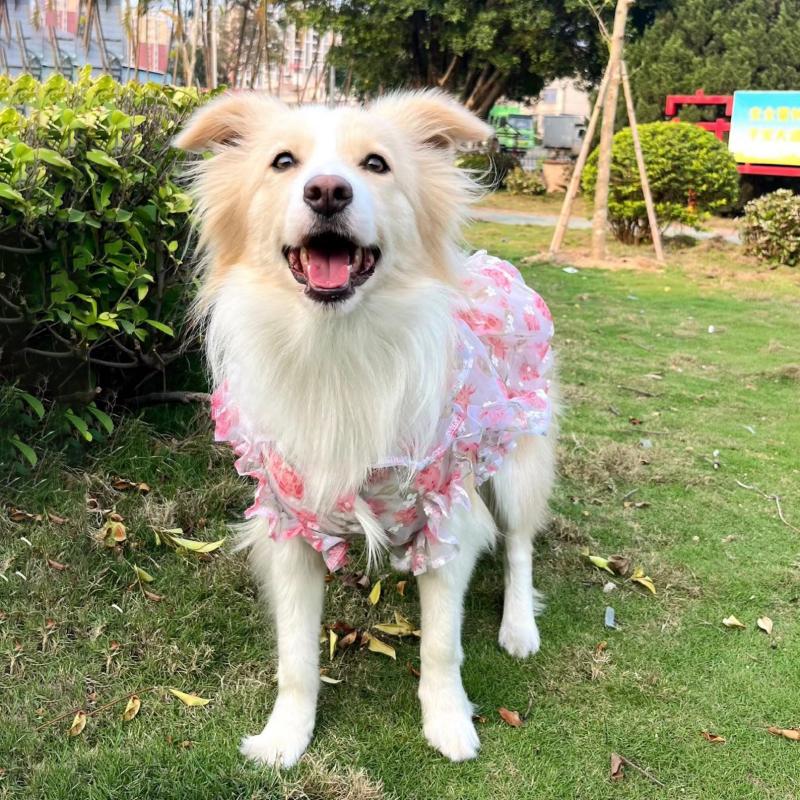 Summer Thin Mesh Pet Dog Clothes Fashion Flower Print Pink Princess Dresses For Meium Large Dogs Samoye Golden Retriever Dress