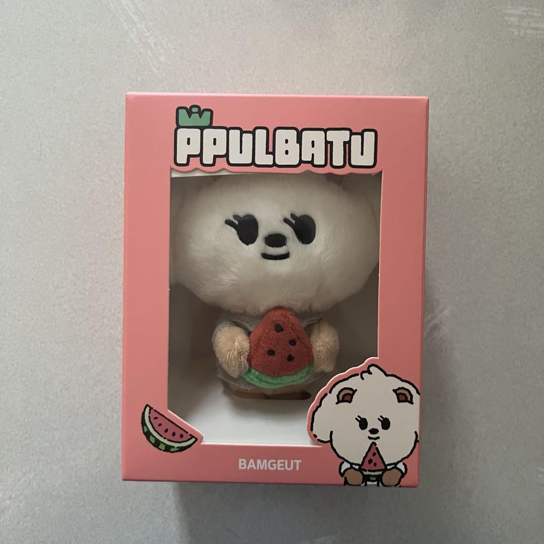 

[USED] TXT Purbatu BamGyu Beomgyu Keyring Watermelon Pop-up
