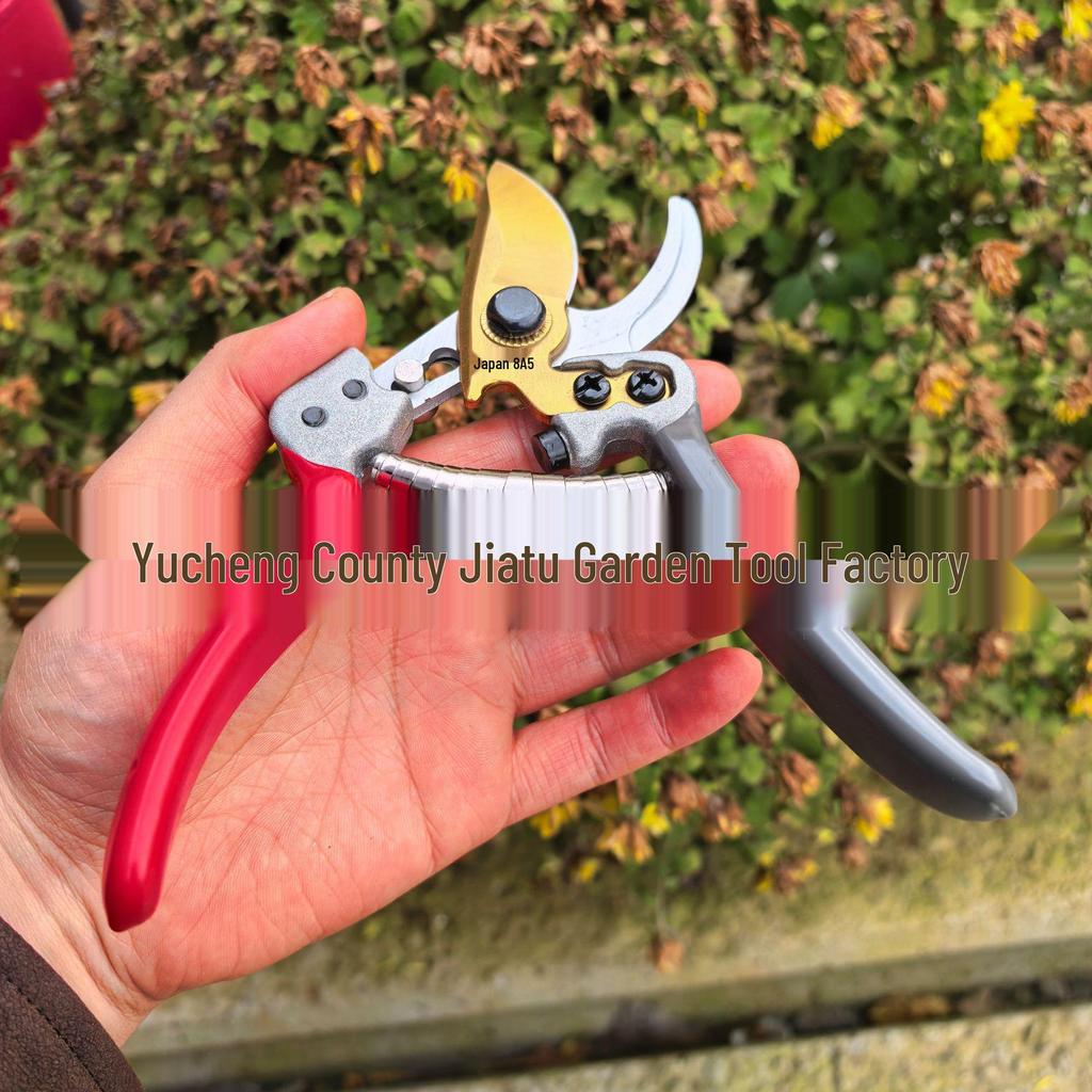 SK5 Steel Pruning Shears: Garden Scissors & Branch Cutters for Trees & Flowers