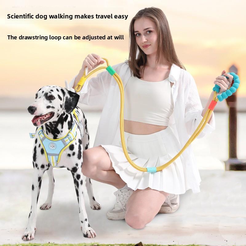 Universelle Hundeleine, Ausbruchsicheres und Kollisionsvermeidendes Hundeauslaufwerkzeug, Haustierspezifisches Halsband