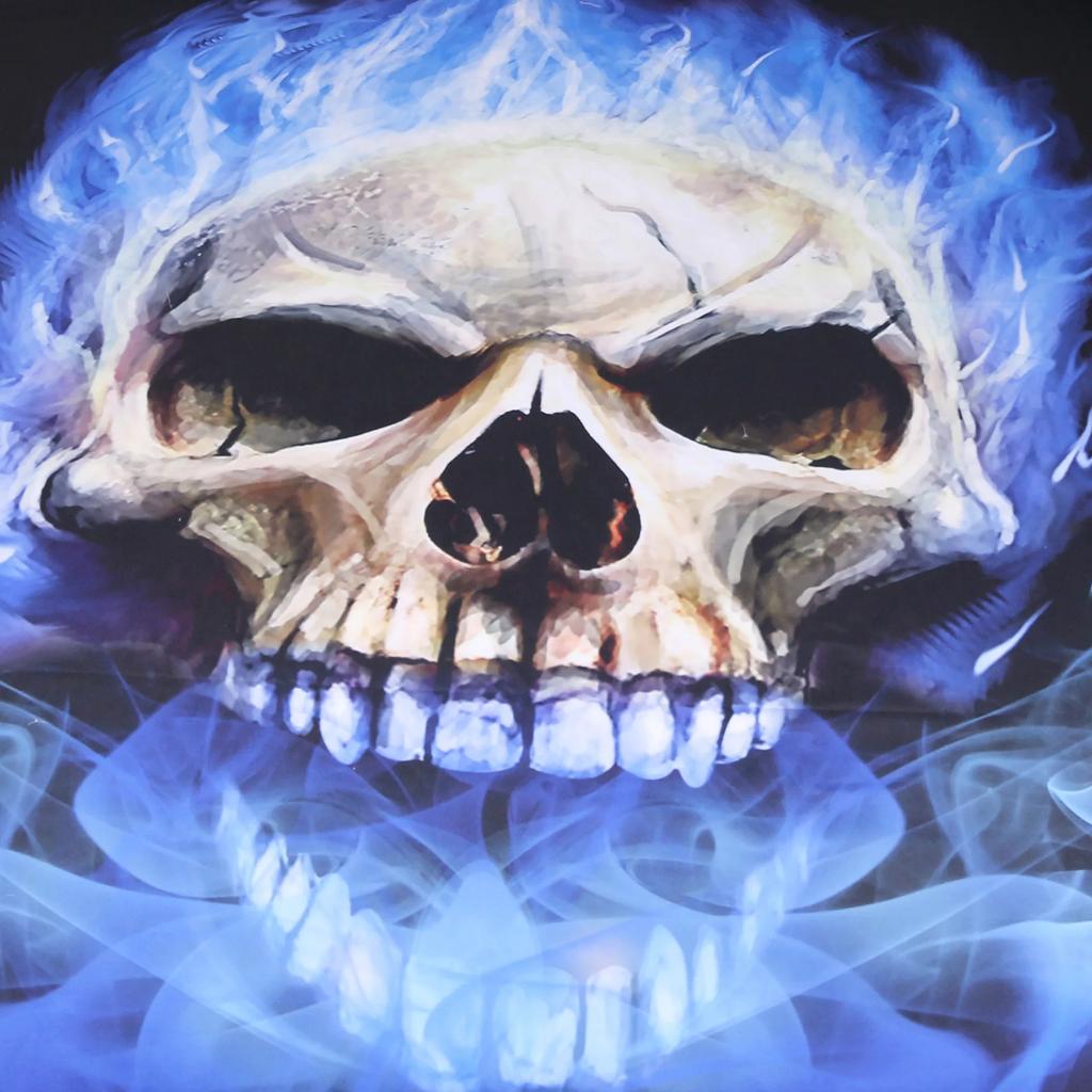 Blue Fire Skull Duvet Cover Pillowcase Set Bed Linens Home Textile For Double Size Bedclothes Bedding Quilt Cover Sets Halloween