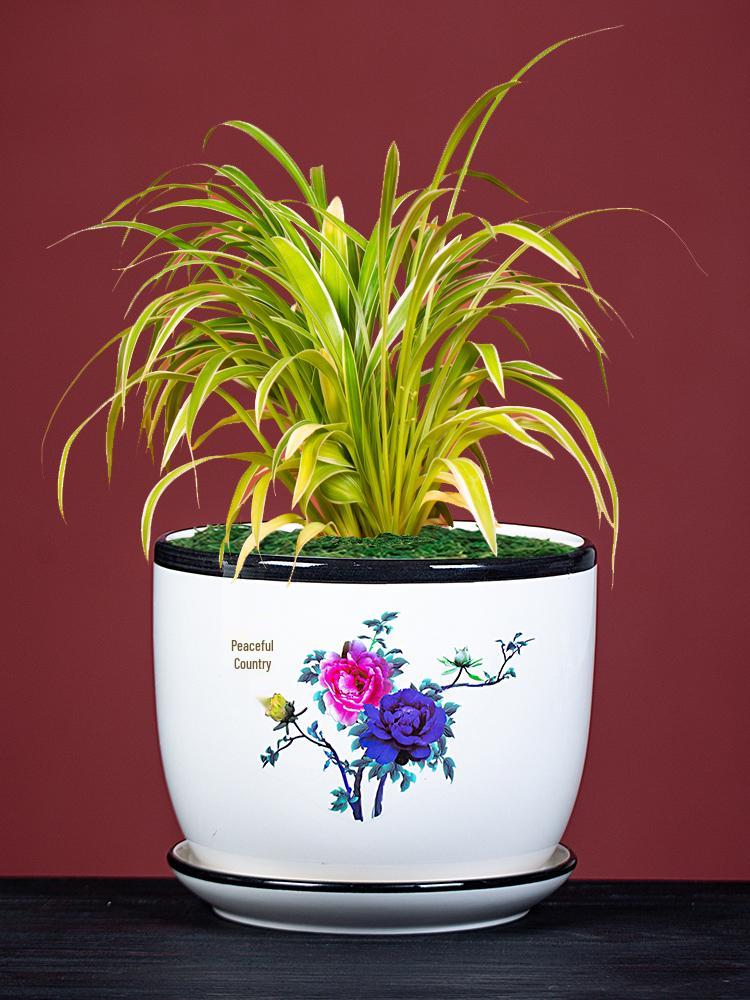 Large Ceramic Flower Pot with Saucer for Indoor or Balcony Plants