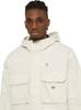 Demiseason Jacket Dickies Fishersville Jacket (DK0A4YQJF901)