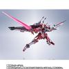 METAL ROBOT Spirits Infinite Justice Gundam 20th Anniversary Ver.