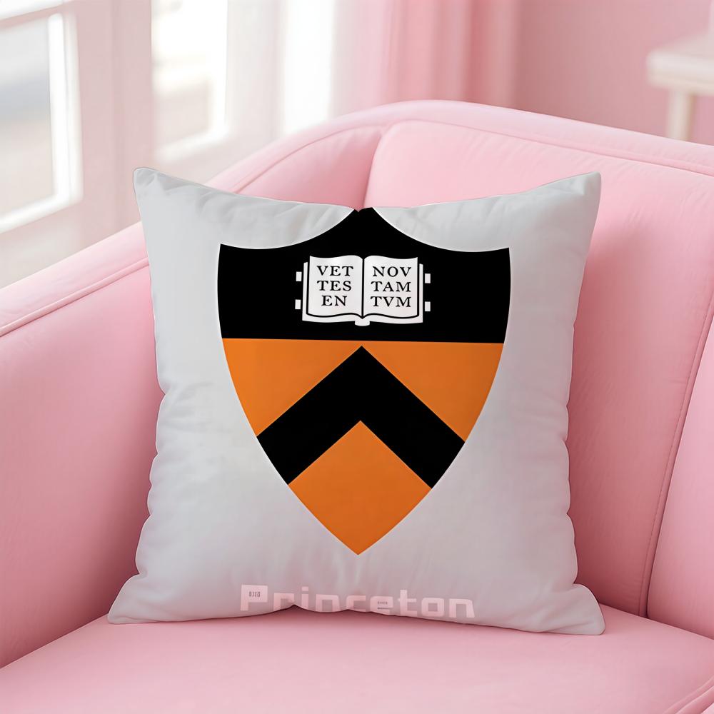 

Academic Global Theme Art BBacktoschool Season Cushion Cover Pillowcase Short Plush Invisible zipper Room Sofa Cushion Cover 30X30cm