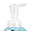 Walch Antibacterial Foaming Hand Soap 225ml