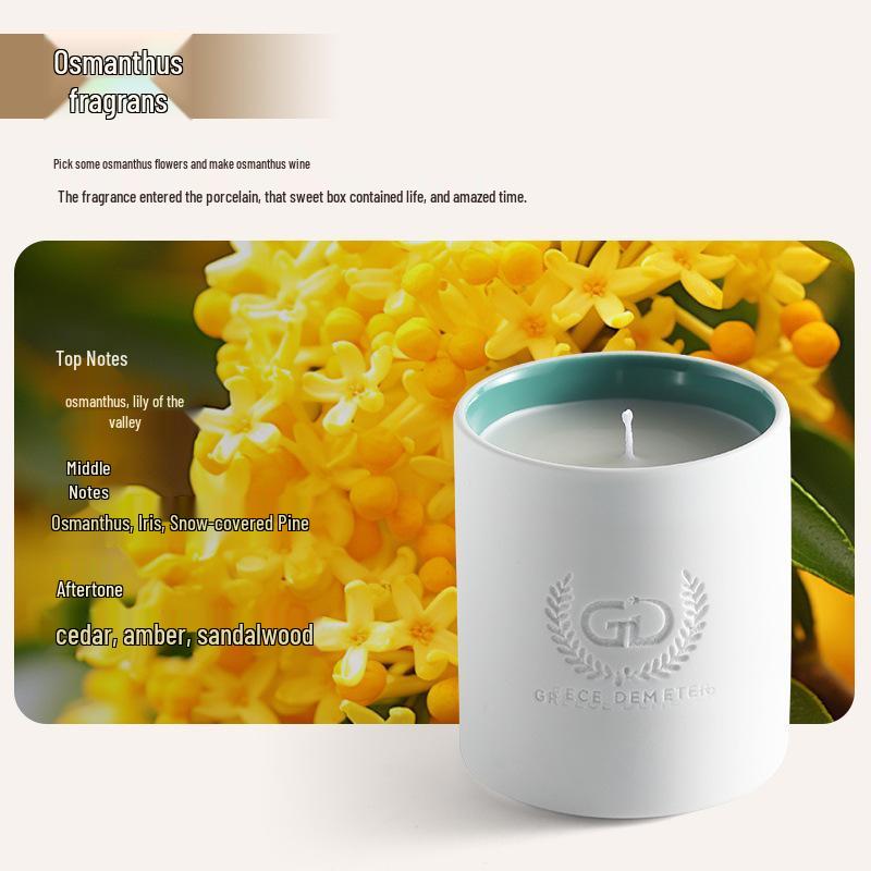 Vintage Ceramic Cup Soy Wax Candle: Scented Artistic Souvenir Gift for Holidays