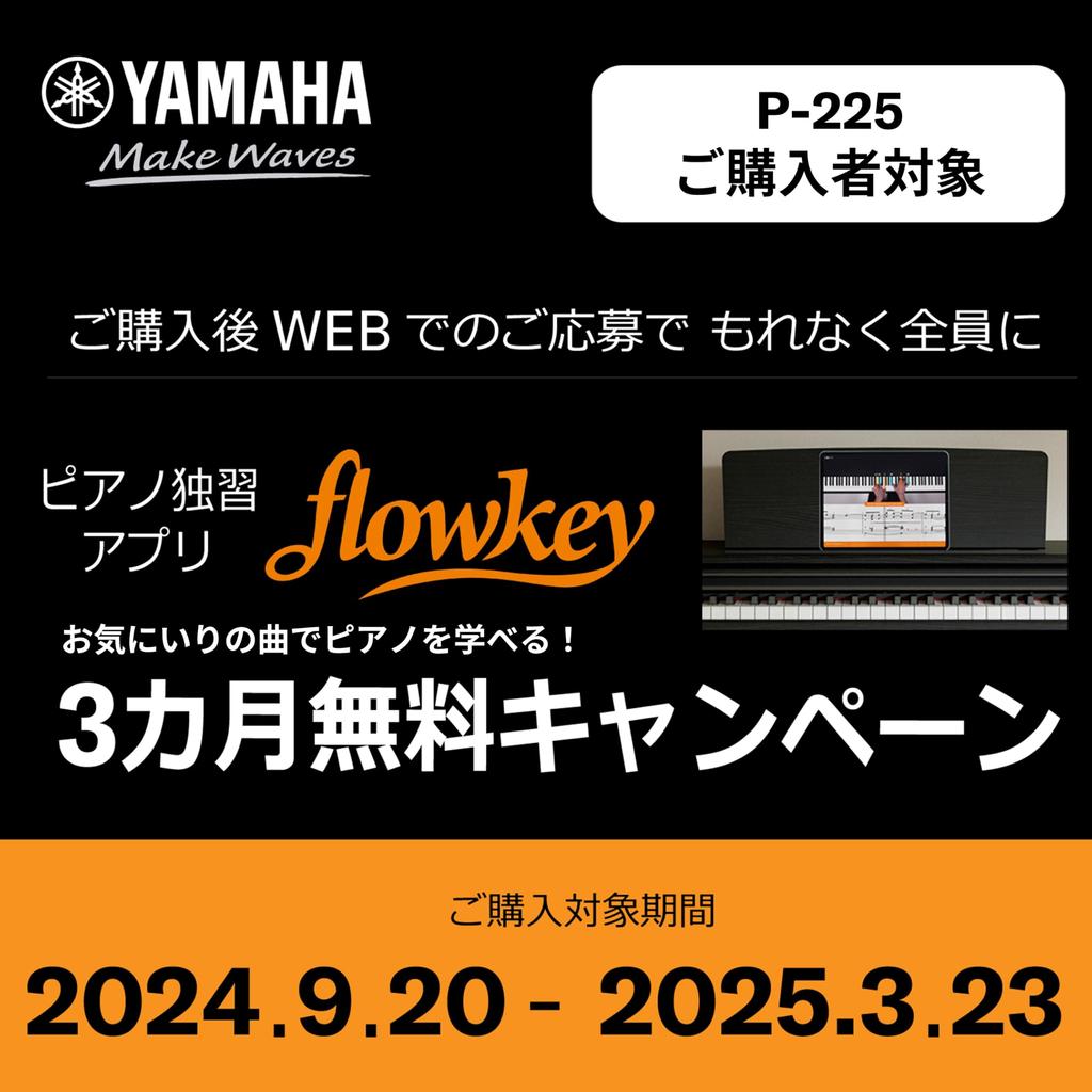 Yamaha Electronic Piano P Series 88 Keys Black P-125aB