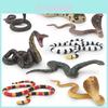 Coleção de Modelos de Cobras de Plástico Realistas Apresentando Cobra, Pitão, Pitão Arbóreo Verde e Cobra Coral Brinquedos para Brincadeira Educacional e Exibição