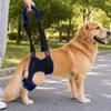 Atmungsaktives Hundehinterbein-Hilfsgeschirr Weich gepolstert Hebegurt für verletzte Hunde Wundheilung